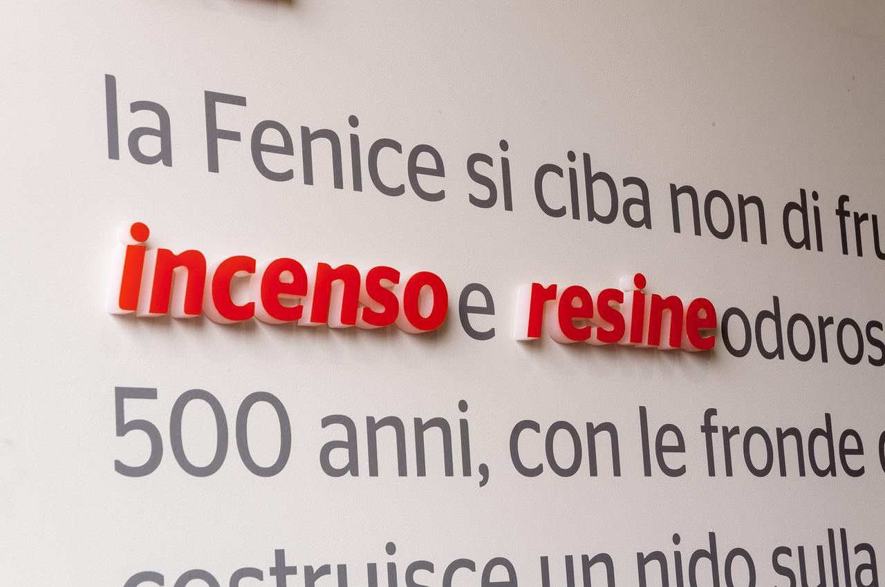 Villa Fenix Osio Sotto Eksteriør bilde